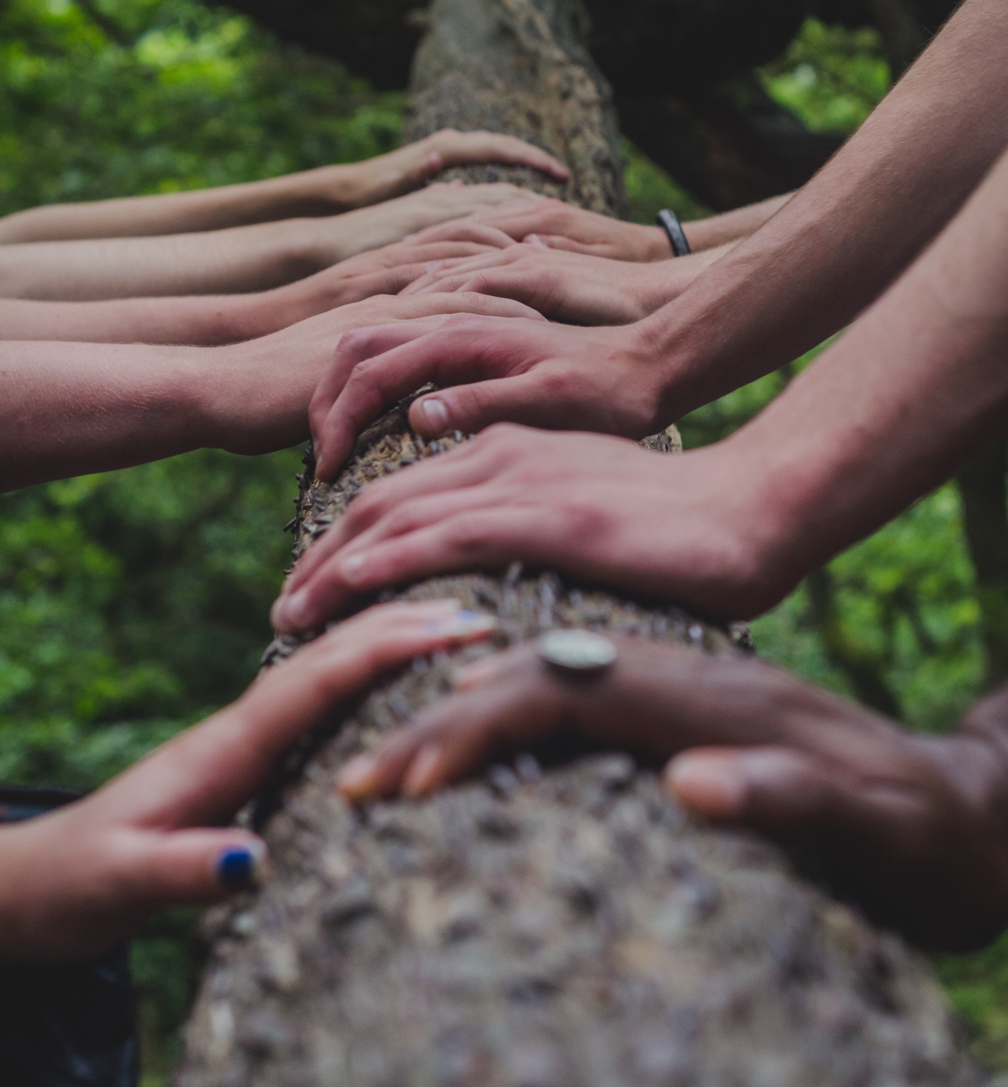 community